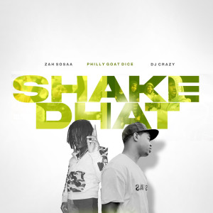 Listen to Shake Dhat song with lyrics from Zahsosaa