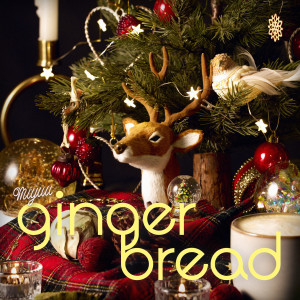 Album gingerbread from Miyuu