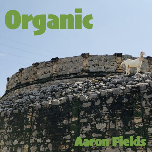 Aaron Fields的專輯Organic