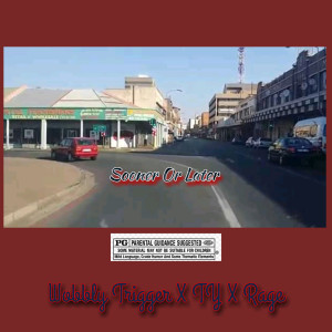 Listen to Sooner or Later (Explicit) song with lyrics from Wobbly Trigger