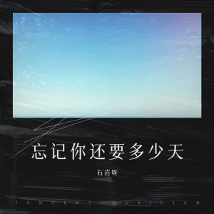 Listen to 忘记你还要多少天（正式版） (Demo) song with lyrics from 石岩呀