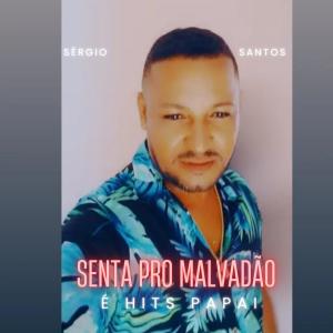 Sergio Santos的專輯Senta pro malvadão