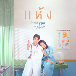 อัลบัม แห้ง ศิลปิน PimryPie