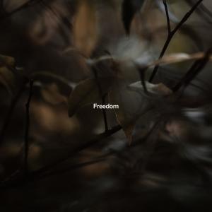 Dengarkan Freedom (Clean) lagu dari Gostes dengan lirik