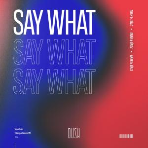 ดาวน์โหลดและฟังเพลง Say What พร้อมเนื้อเพลงจาก Anar
