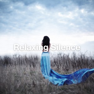 อัลบัม Relaxing Silence ศิลปิน Healing Sounds for Deep Sleep and Relaxation