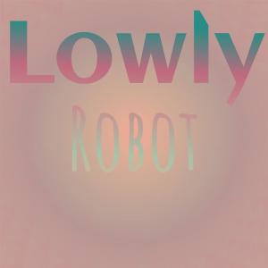 อัลบัม Lowly Robot ศิลปิน Various Artists