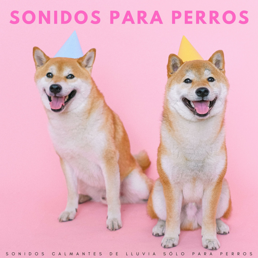 Amante De Los Perros