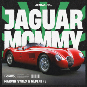 ดาวน์โหลดและฟังเพลง Jaguar Mommy พร้อมเนื้อเพลงจาก Marvin Sykes