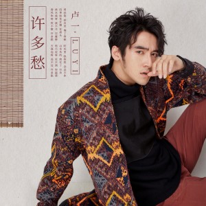 Listen to 许多愁 (伴奏) song with lyrics from 卢一