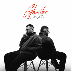收听YoungZinhai的Gharibe歌词歌曲