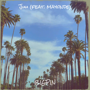 Listen to Juu song with lyrics from Bigpin