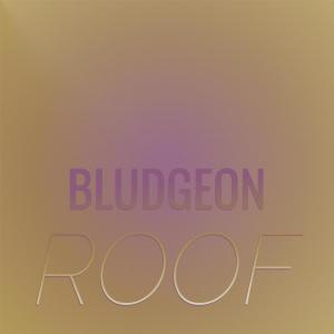 Album Bludgeon Roof from Various