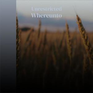 ดาวน์โหลดและฟังเพลง Wheresoever Utopia พร้อมเนื้อเพลงจาก Lamine Anish