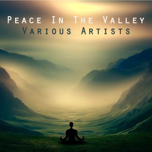 Various的專輯Peace in the Valley