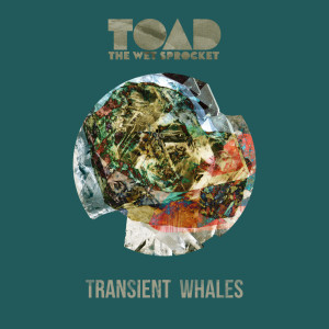 อัลบัม Transient Whales ศิลปิน Toad The Wet Sprocket