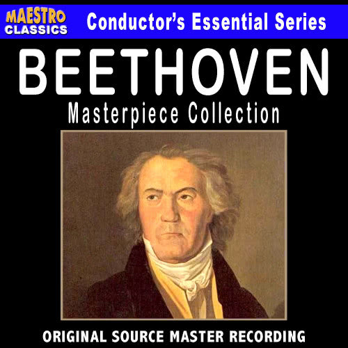 Symphony No. 9 in D minor, Op. 125 "Choral": II. Scherzo: Molto vivace – Presto