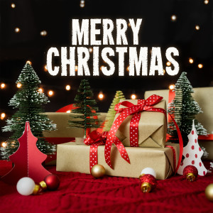 Merry Christmas (Explicit) dari Various Artists