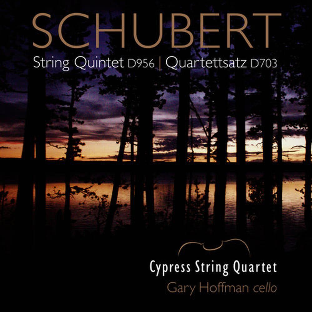 String Quintet in C Major, D. 956: II. Adagio