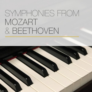 Listen to Romanza per Violino e Orchestra No.2 in Fa Maggiore Op. 50 song with lyrics from Group Star