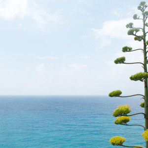 Listen to Are You song with lyrics from Spa Relaxation
