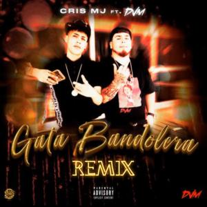 Listen to Gata Bandolera x Cris Mj (feat. Stars Music Chile) (Explicit) song with lyrics from DVM