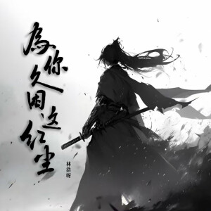 Album 为你久困这红尘 from 林浩呀