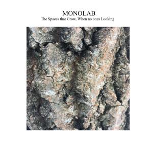 ดาวน์โหลดและฟังเพลง Trees Run Screaming. พร้อมเนื้อเพลงจาก Monolab