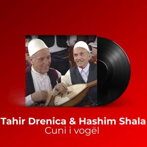 收聽Tahir Drenica的Cuni i vogël歌詞歌曲