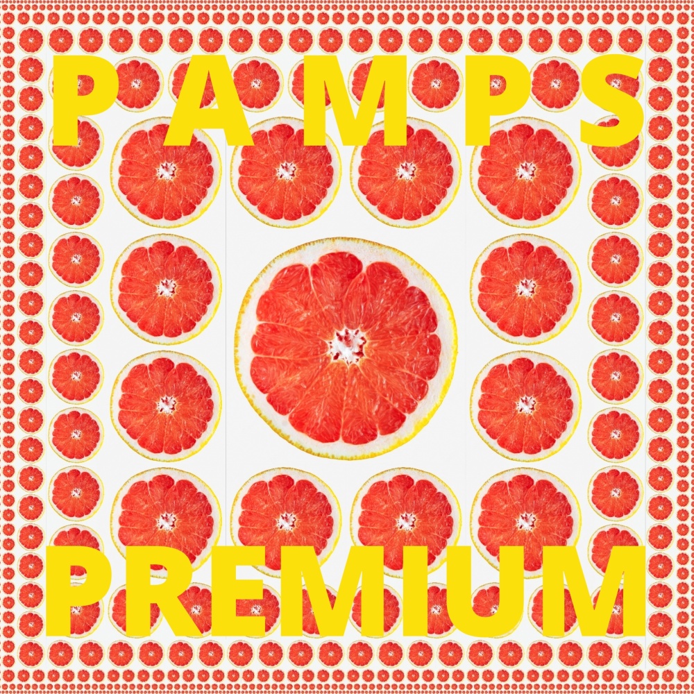 PAMPS PREMIUM (VIENS AU LOCAL) (feat. Matty B & MC Page)
