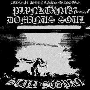 ดาวน์โหลดและฟังเพลง STILL SCOPIN (feat. Dominus Soul) พร้อมเนื้อเพลงจาก Plvnktxn187