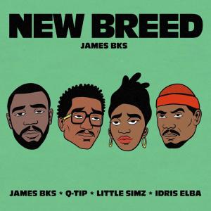 James BKS的專輯New Breed (Explicit)
