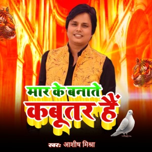 Listen to Maar Ke Banate Kabootar Hai song with lyrics from Ashish Mishra