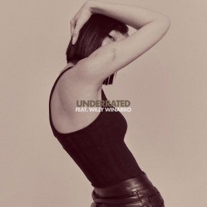 ดาวน์โหลดและฟังเพลง Underrated พร้อมเนื้อเพลงจาก Rinni Wulandari
