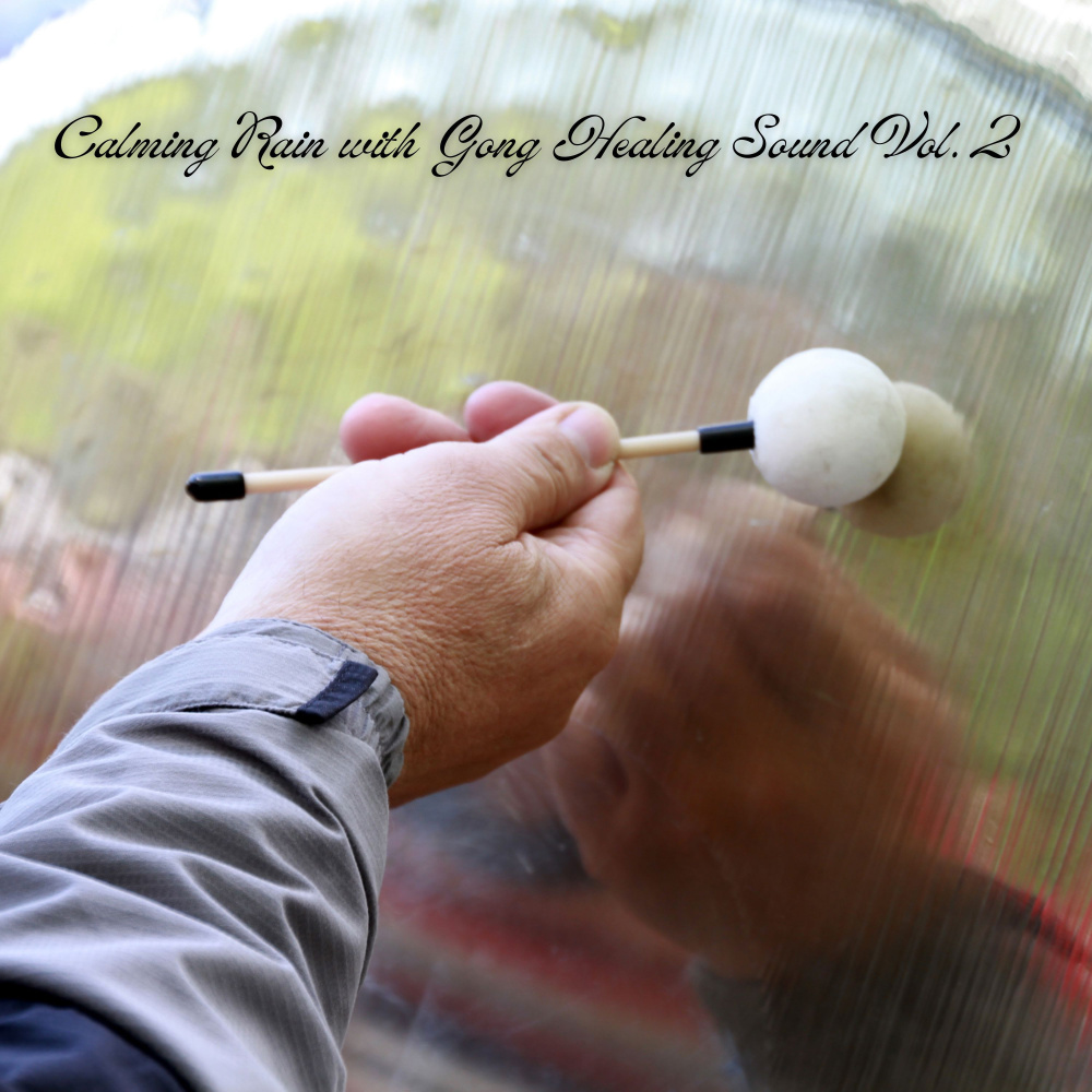Forest Drizzle Relaxation