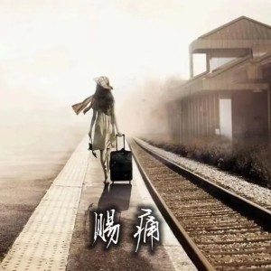 何肇禎的專輯賜痛
