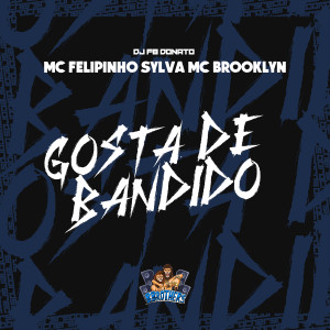 收聽DJ FB DONATO的Gosta de Bandido歌詞歌曲