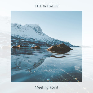 อัลบัม Meeting Point ศิลปิน Geppetto & The Whales