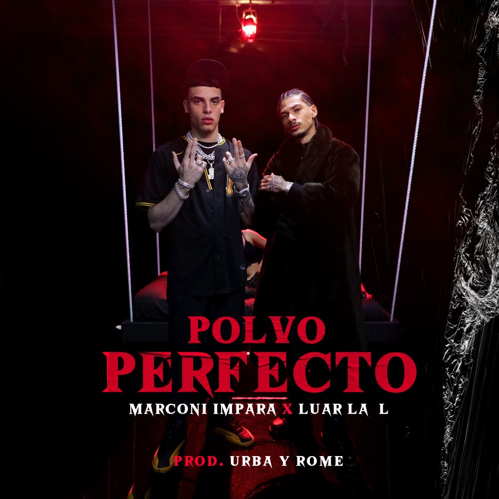Polvo Perfecto (Explicit)