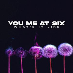 ดาวน์โหลดและฟังเพลง What's It Like พร้อมเนื้อเพลงจาก You Me At Six