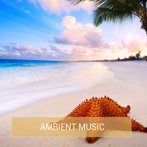 Album Ambient Music from Various