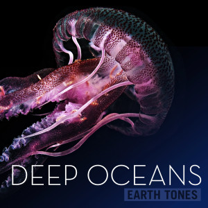 Earth Tones: Deep Oceans