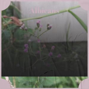 ดาวน์โหลดและฟังเพลง Only Humerous พร้อมเนื้อเพลงจาก Laal Dele