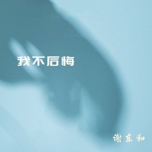 Listen to 我不后悔 (DJ版) song with lyrics from 谢东和