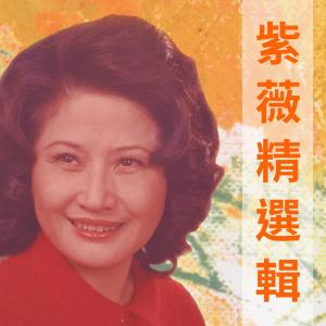 Listen to 梭羅河畔 (版本一) song with lyrics from 紫薇