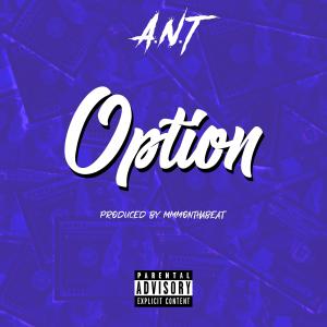 A.N.T.的專輯Option (Explicit)