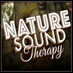 ดาวน์โหลดและฟังเพลง Brook at Dusk พร้อมเนื้อเพลงจาก Outside Broadcast Recordings