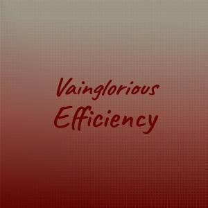 Various Artists的專輯Vainglorious Efficiency