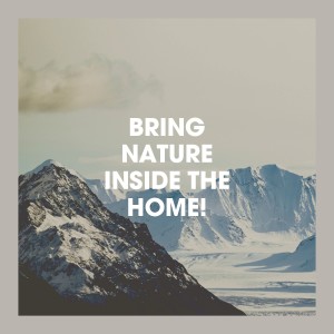 Listen to Singing Birds Harmony song with lyrics from Echoes of Nature