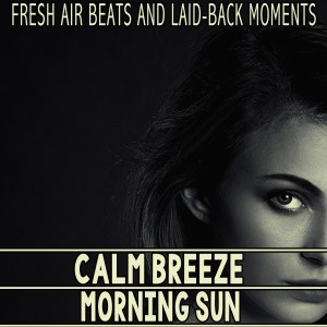 Various Artists的專輯Calm Breeze - Morning Sun